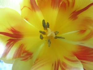 3 april 2013 013