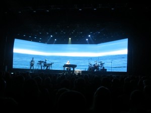 IMG_3689 (4)