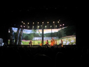 IMG_3694 (4)
