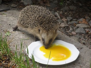019