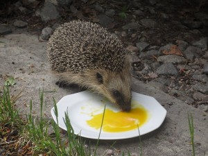 022