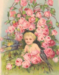 BABY-BOY-BORN-IN-A-ROSE-BUSH-SWALLOW