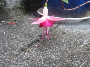 005
