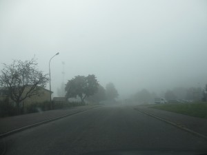 Fog 1