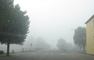 Fog 2
