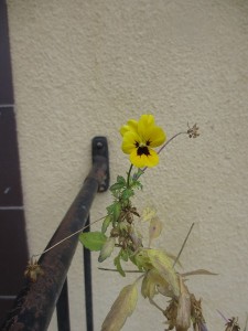 011