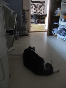 059