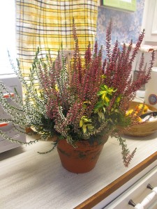 4 okt 2013 057