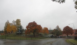 Gäddgårds berget