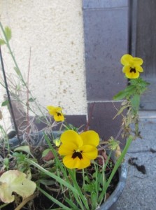 010