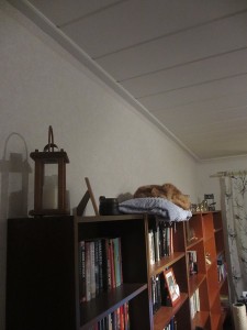 011