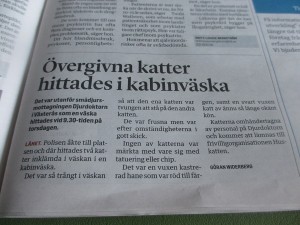 Väskkatterna