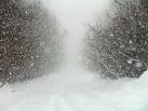 snöstorm  2