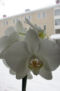 064