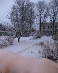 Snö 2