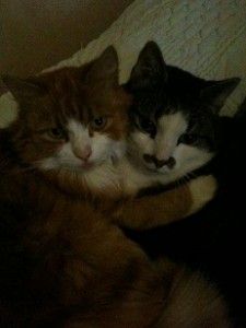 Sötaste Wilma och Curry kramas