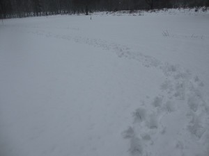 Djupare snö