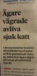 Kattstackare