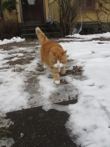 Wilma 22 febr 2014