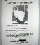 Bortsprungen katt