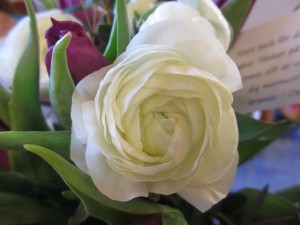CJs blomma tll mormor