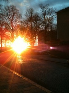 Sol en iskall morgon 18 mars 2014