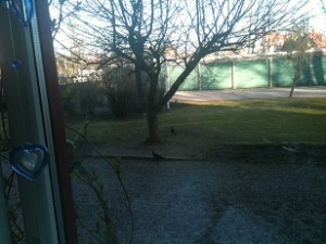 Vid vårdagjämning 2012