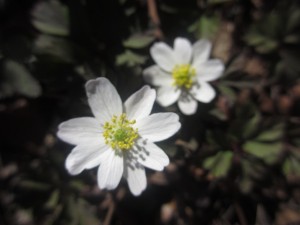021