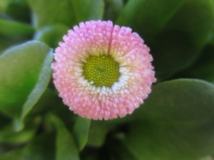 040