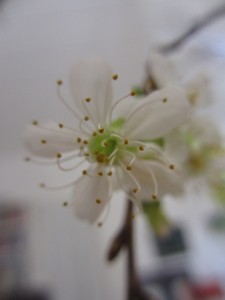 045