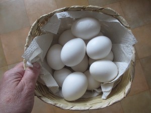Kokta ägg