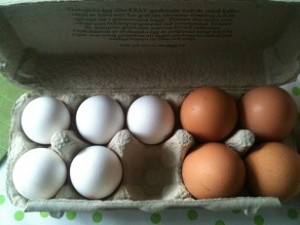Olika ägg