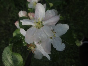 028