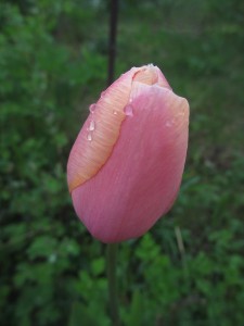 040