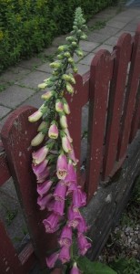019