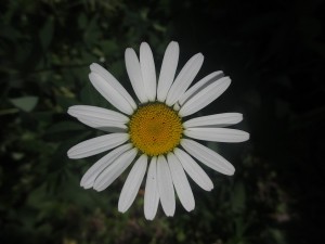 053