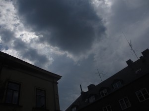 029