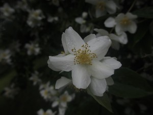 031