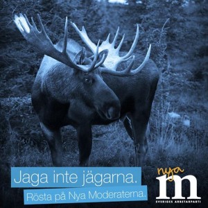 Jaga inte jägarna