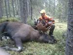 Jägare med älg