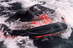 Räddningsflotte med vatten