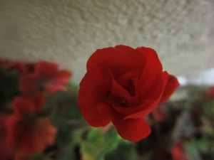 042
