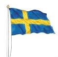 Flagga