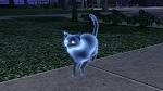 Ghostcat
