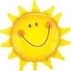 Solen