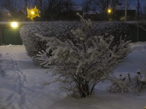 008
