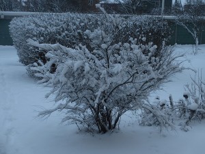 019