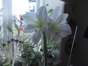 042