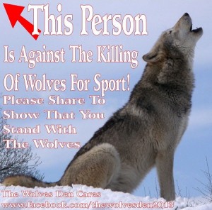 Against killing of wolves