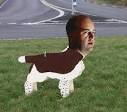 Reinfeldt som rondellhund